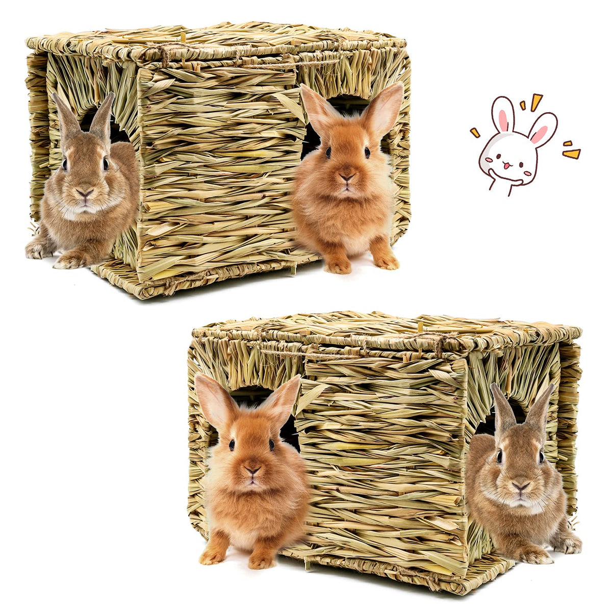 BWOGUE Maison-herbe-extra-large-lapin, refuge spacieux pour lapin et compagnons