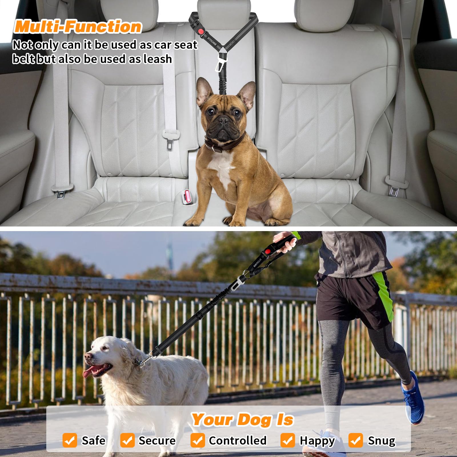 BWOGUE materiaux durables nylon et bungee pour longe fiable