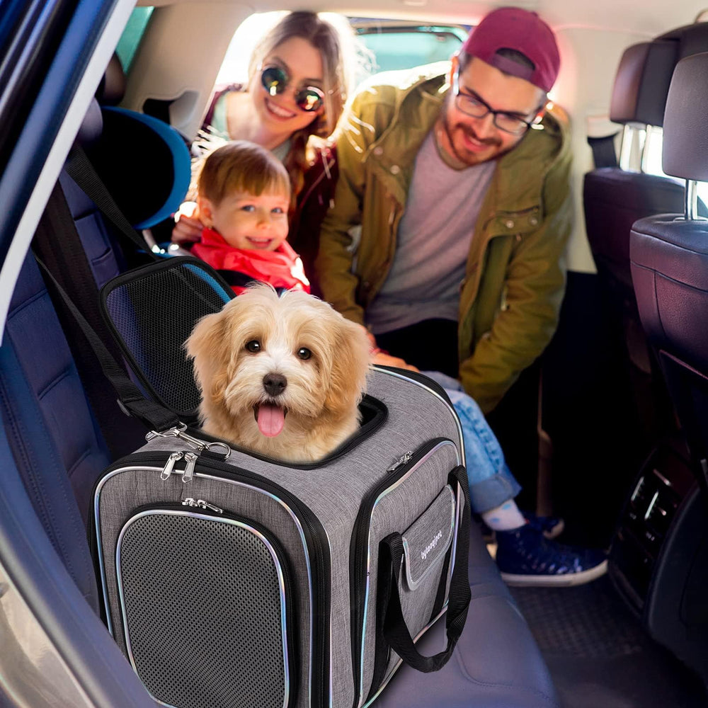Bytaoqipet transporteur chat sous siège, base renforcée offrant stabilité durant les trajets.