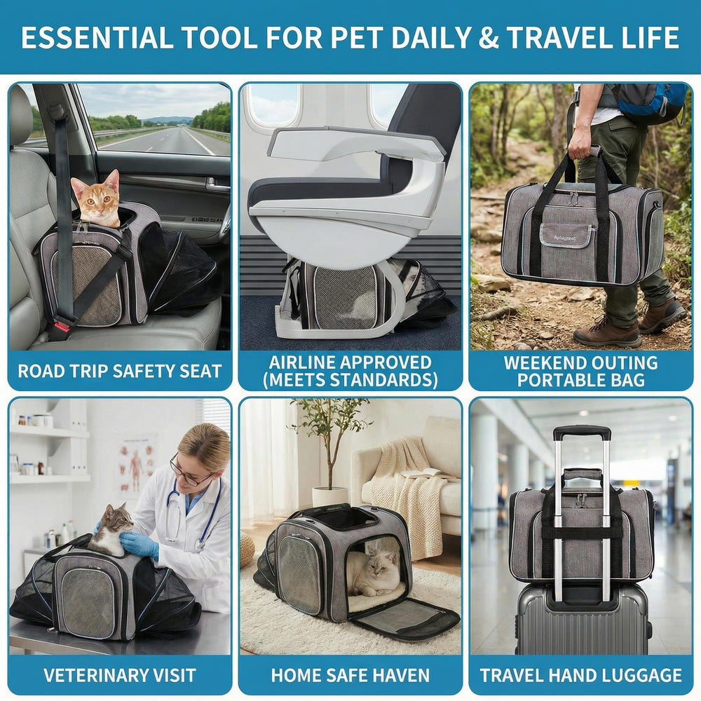 Bytaoqipet transporteur chat sous siège, maille respirante pour une ventilation optimale.