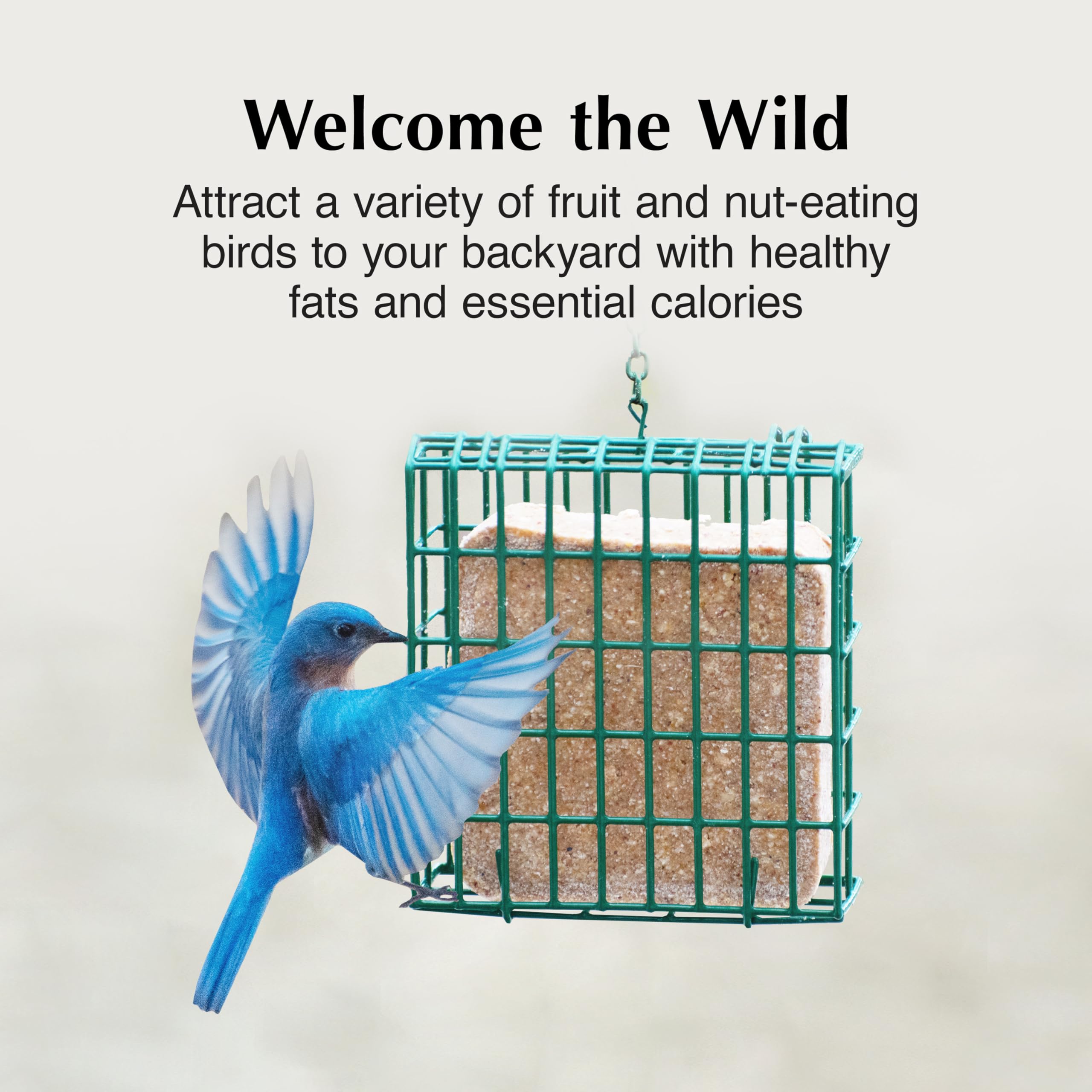 C&S Fruit n’ Nut Suet Treat morceaux de fruits et noix nourrissants pour les oiseaux