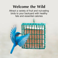 C&S Fruit n’ Nut Suet Treat morceaux de fruits et noix nourrissants pour les oiseaux