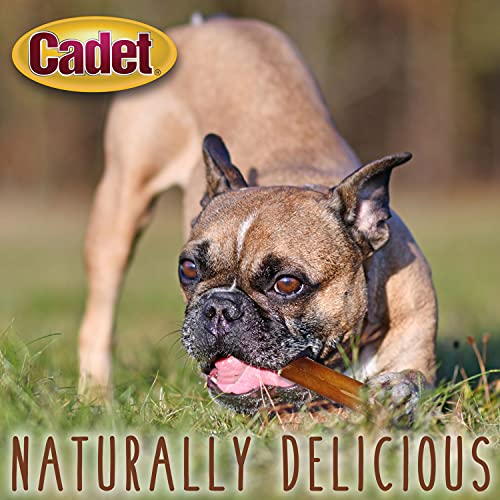 Cadet batonnet boeuf sans aromes artificiels, choix sain.