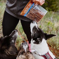 Cadet bâtonnets boeuf protéine élevée : snack riche en protéines pour chiens actifs
