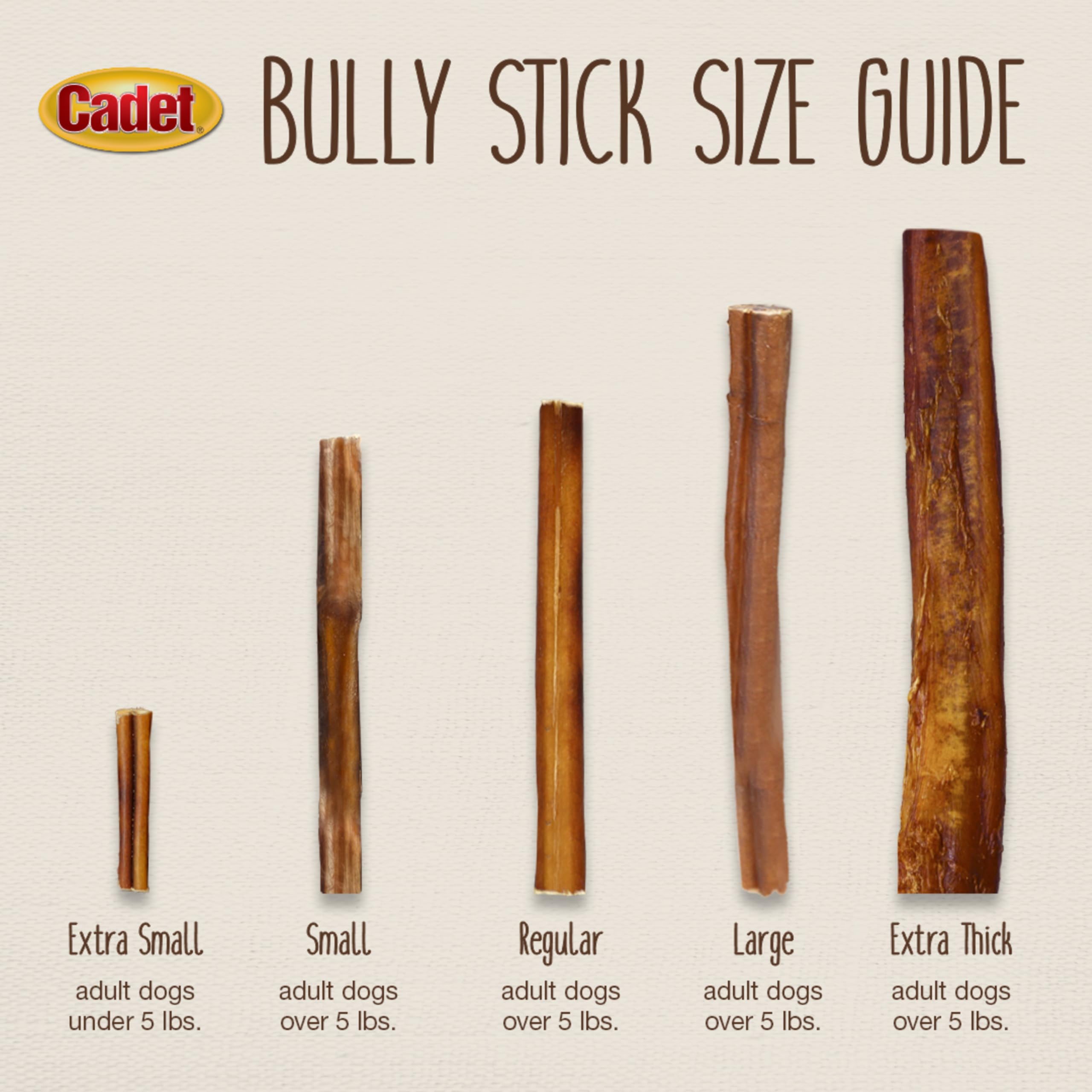 Cadet Bully Sticks riches en protéines pour énergie durable.