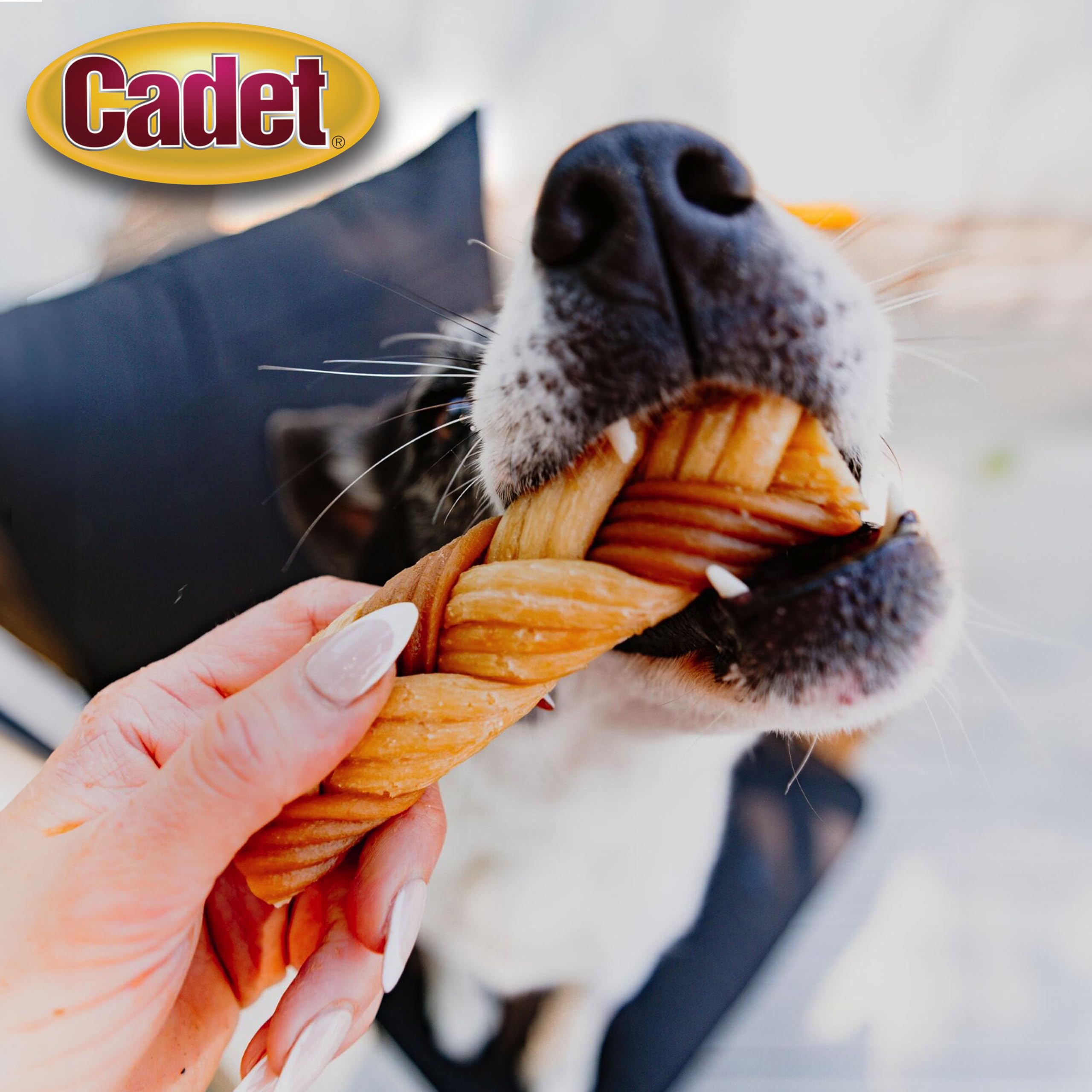 Cadet Chewalicious Saveur naturelle : friandise sans arômes artificiels.
