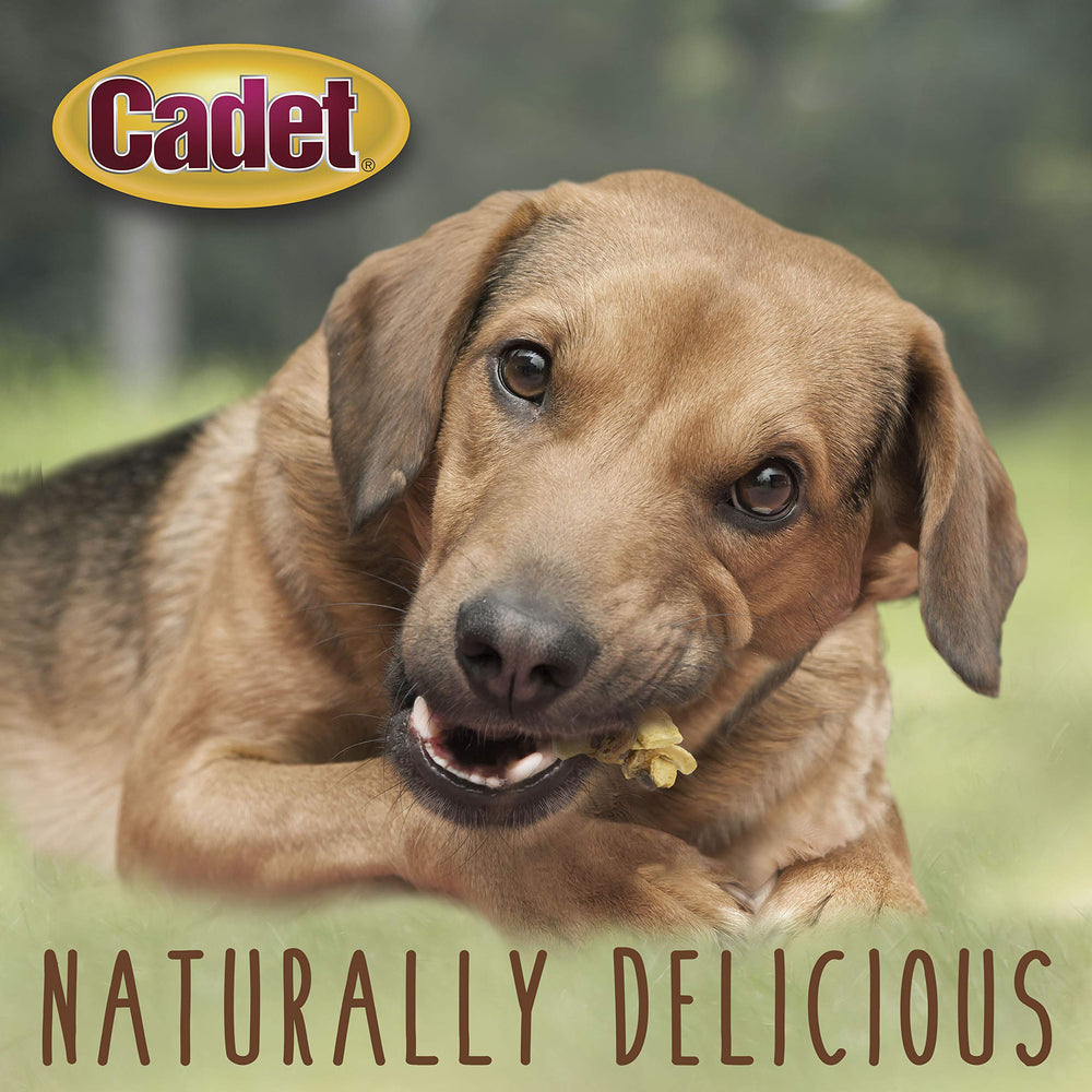 Cadet enrobés Poulet-Pomme : portion adaptée pour chiens de tous âges.