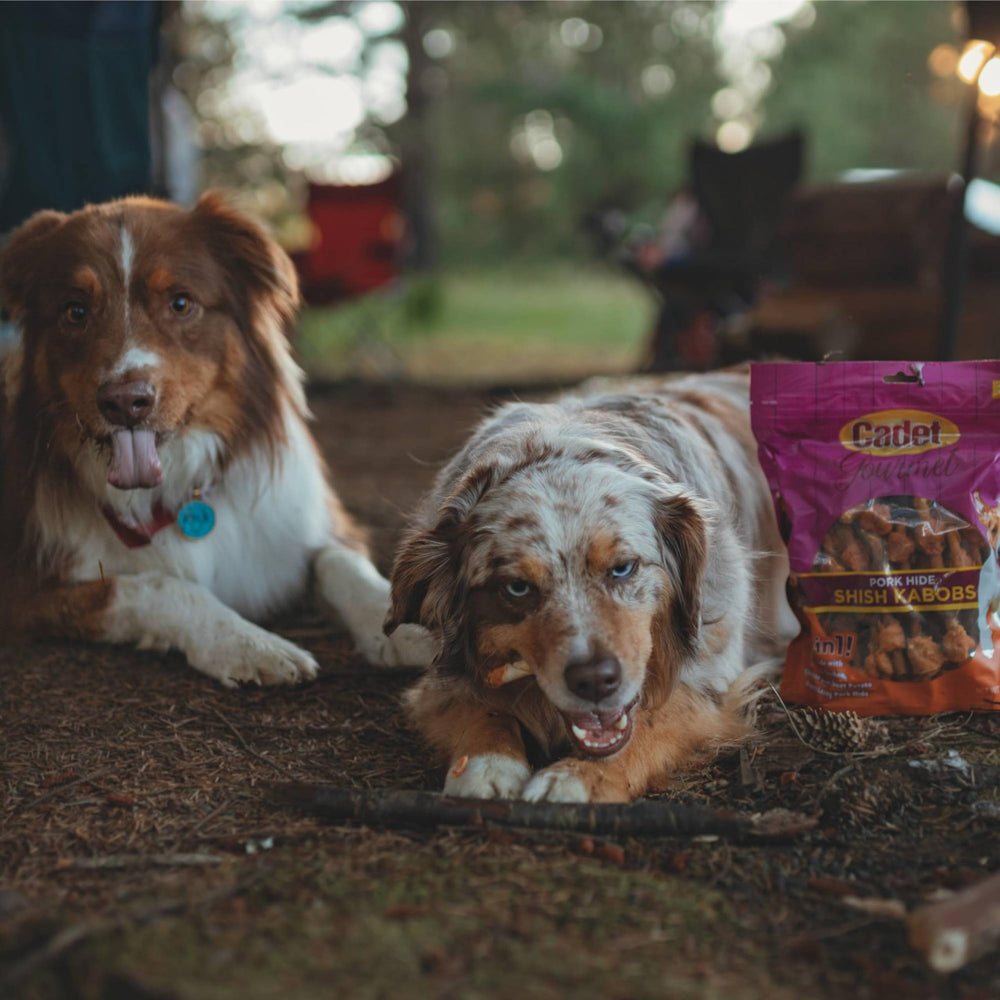 Cadet Gourmet broche canard : saveur riche pour petits chiens.