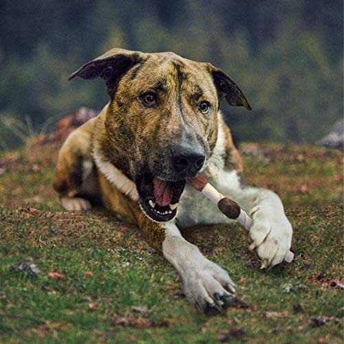 Cadet Gourmet – deux bâtonnets de 10 po; format pratique pour grands chiens