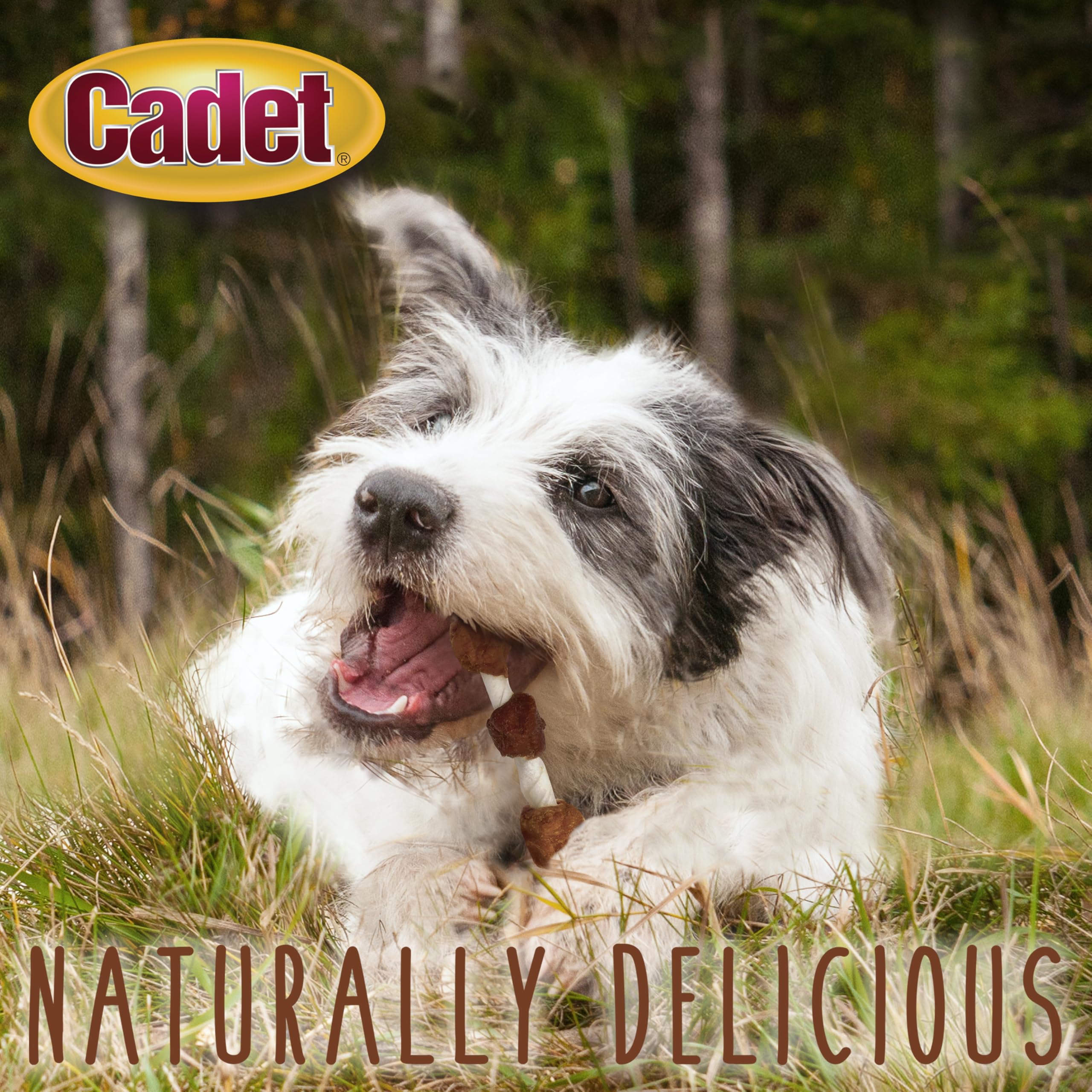 Sans colorants artificiels, Cadet Gourmet privilégie des composants simples.