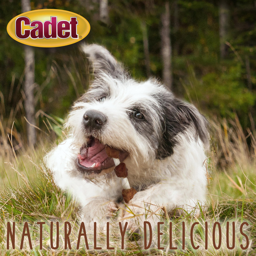 Sans colorants artificiels, Cadet Gourmet privilégie des composants simples.