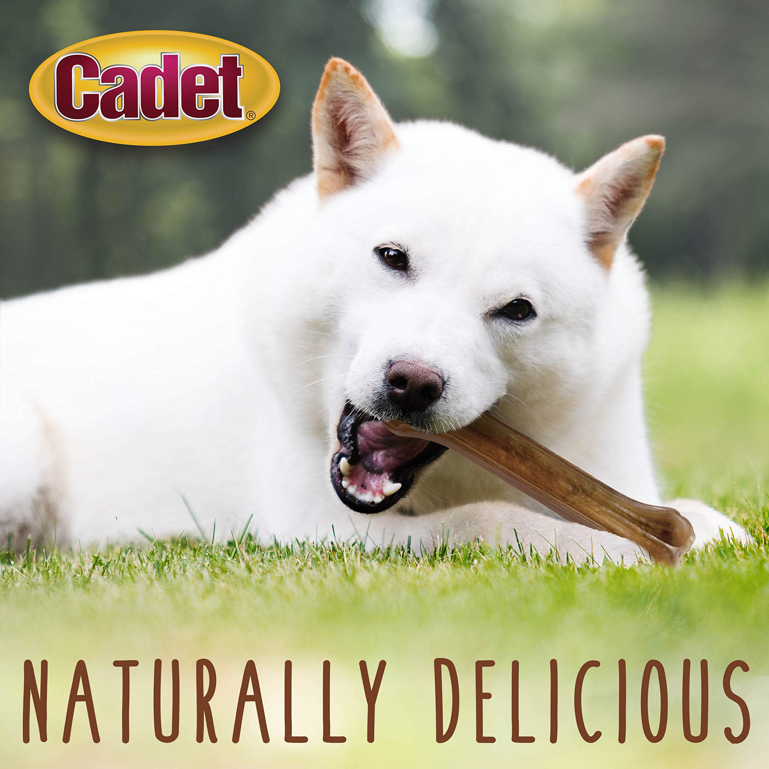 Cadet os-boeuf-presse ingredients naturels, peau de boeuf 100 % naturelle.