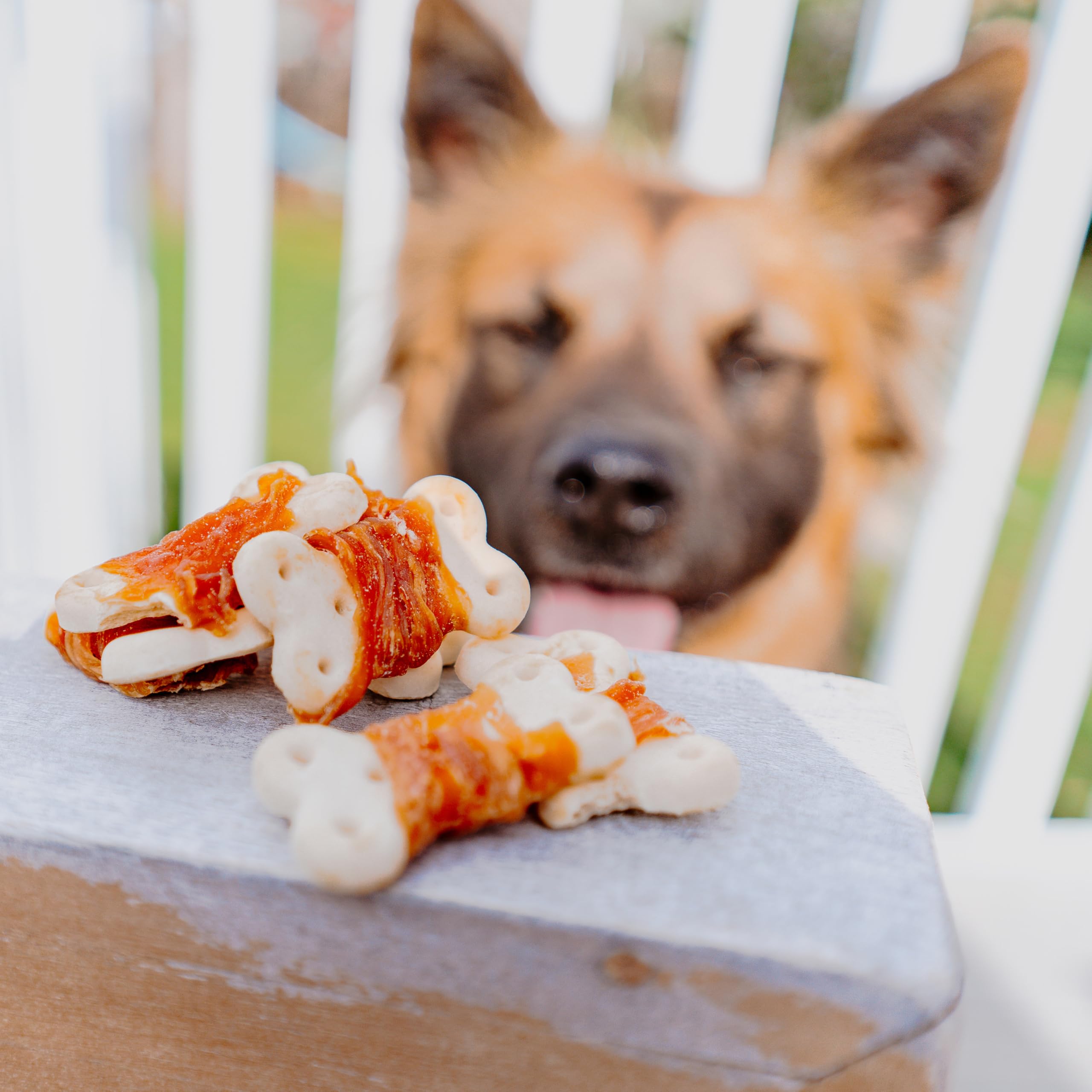Cadet poulet biscuit protéines naturelles, récompense légère pour chiens actifs.