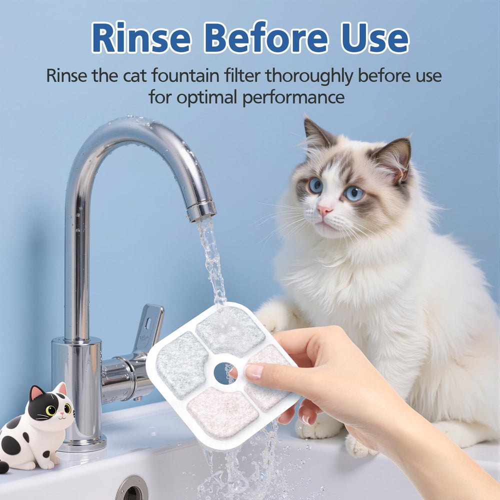 Caehomly filtre Catit PIXI, rinçage avant usage pour performances optimales