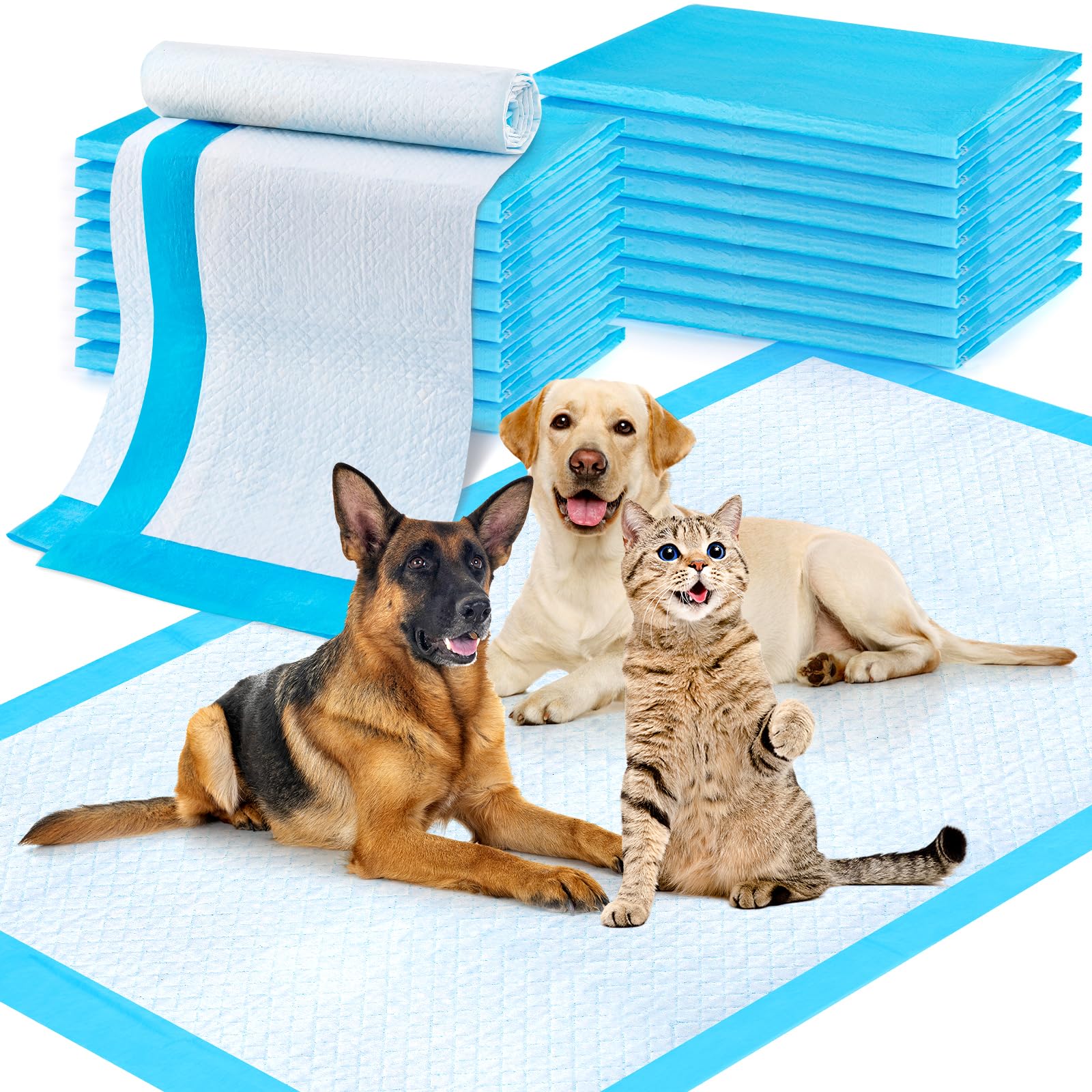 CAHUDIKIC tapis extralarge 36x51 pour protection fiable des sols.