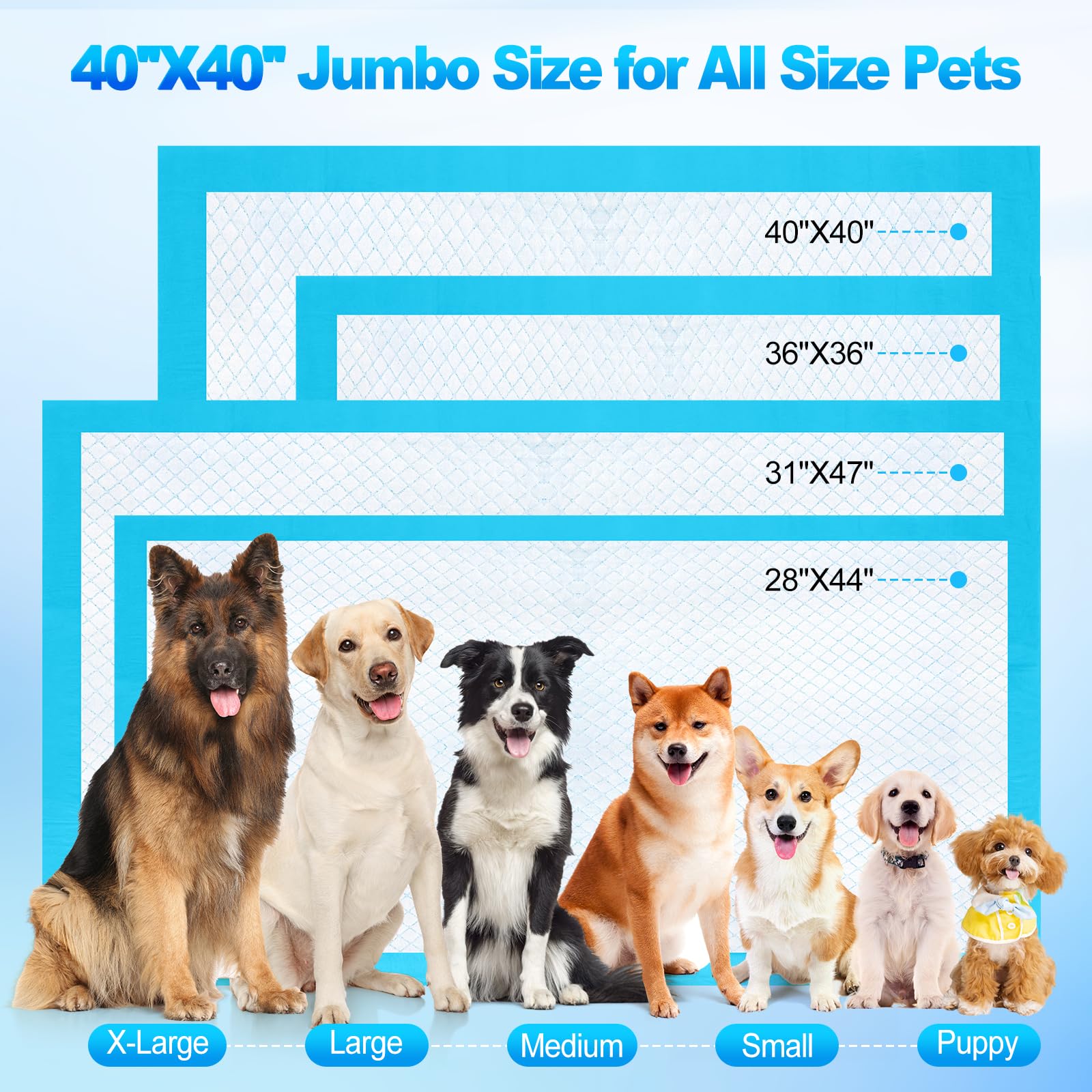 CAHUDIKIC tapis grand format 40x40 pouces pour grands chiens