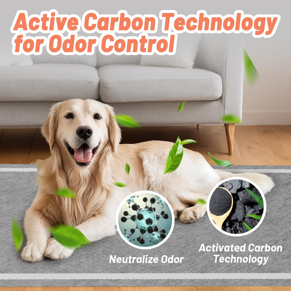 Détail 6 couches: absorption rapide et surface d'apprentissage
