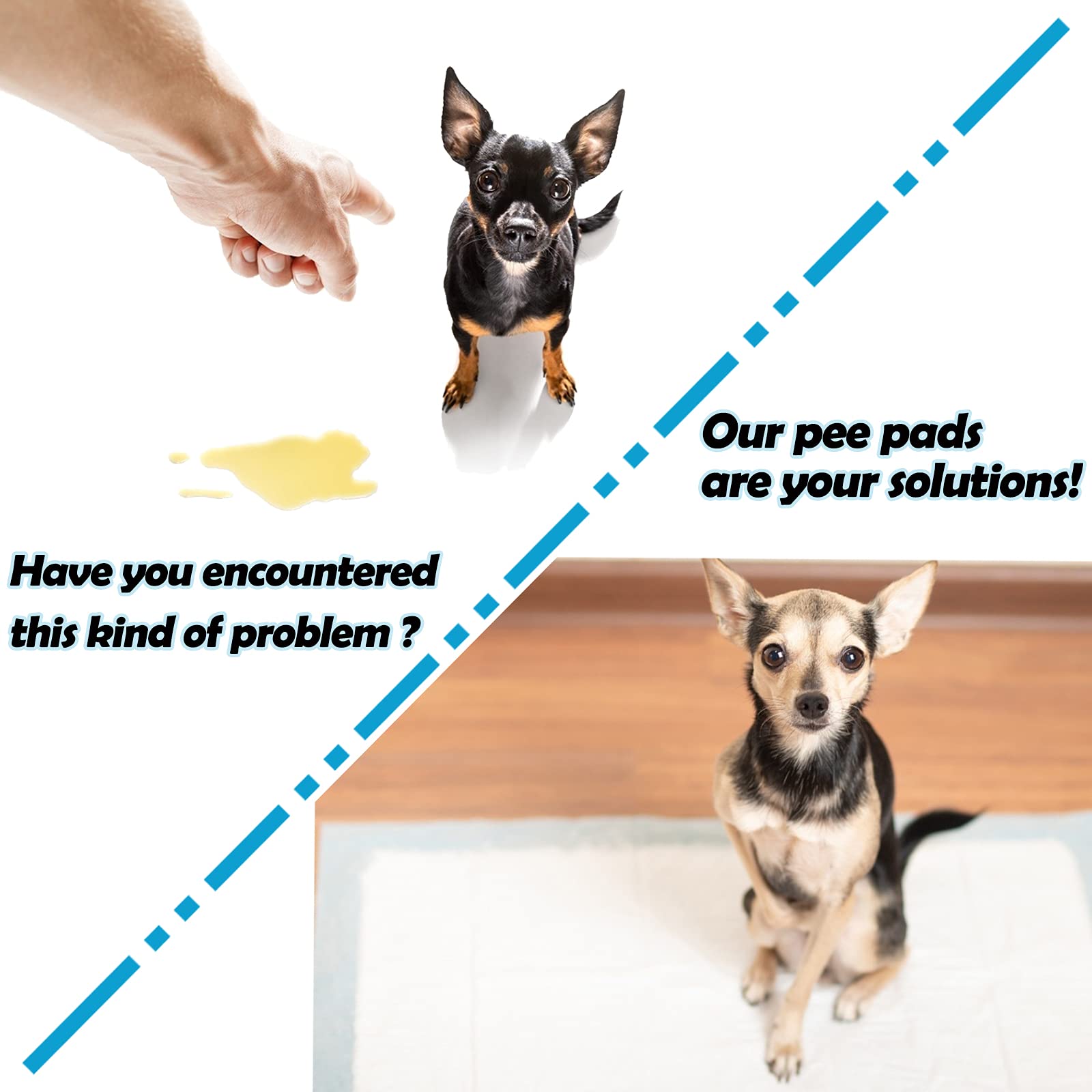 Caïlos Tapis Pipi chat : pratique pour l'apprentissage quotidien.