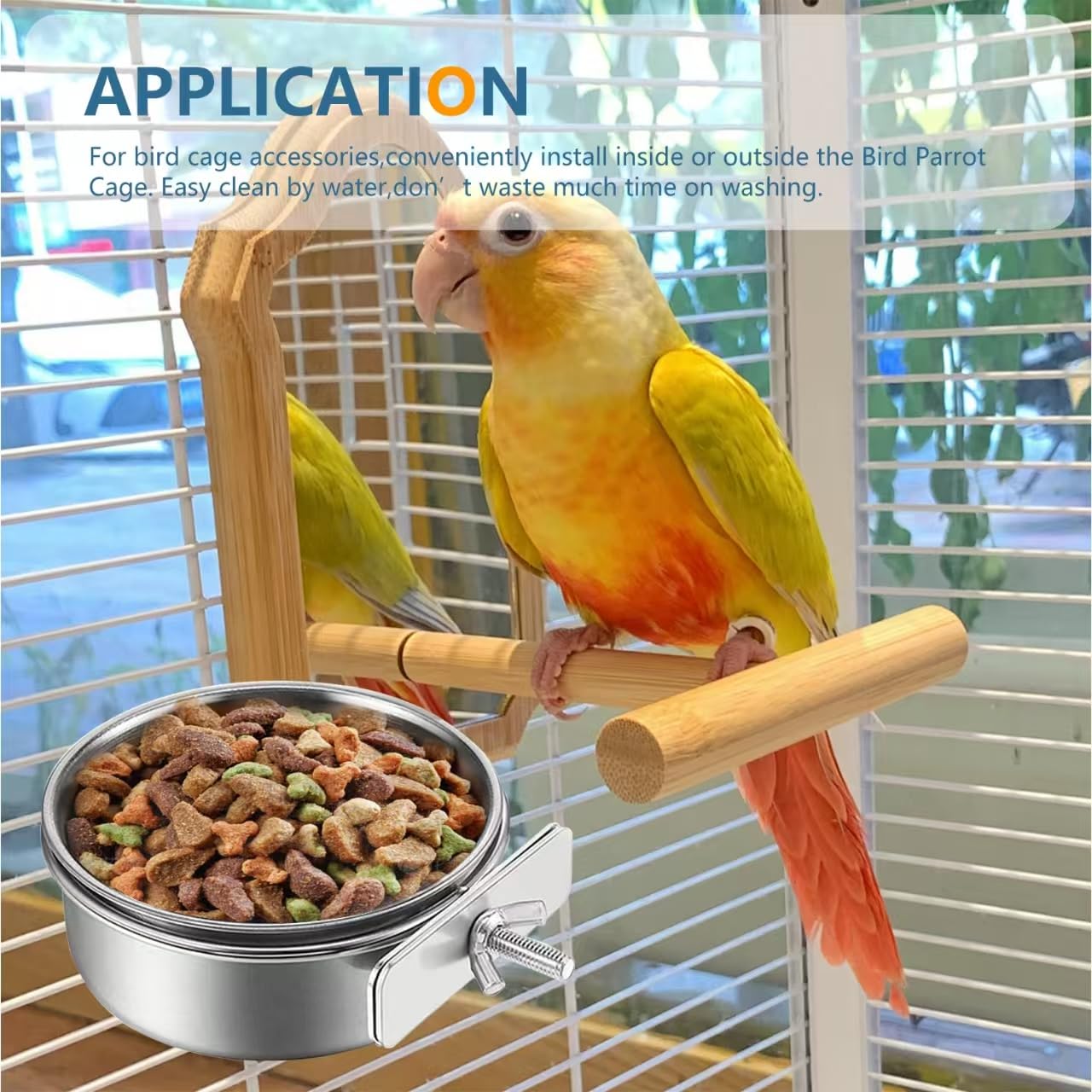 Support de montage CAIYUANYUAN-SHENXUEJIAO pour cage, installation facile.