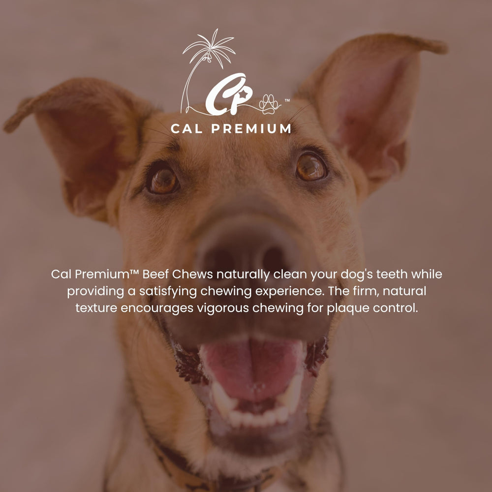 Sans additifs, Trachée Cal Premium est un choix simple pour chiens sensibles.