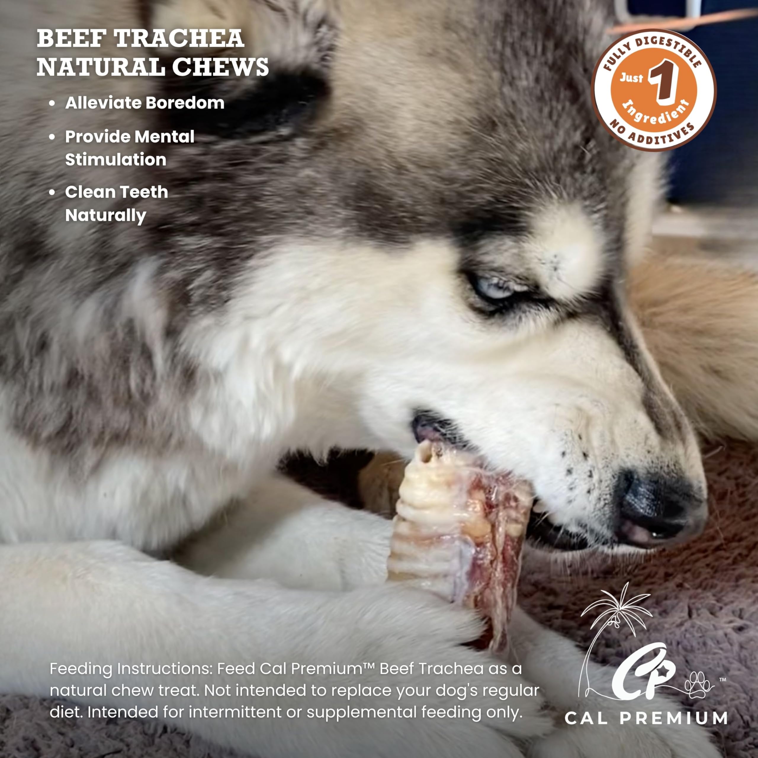 Cal Premium Trachée de Boeuf, croquant naturel pour occuper chiens de petite à moyenne taille.