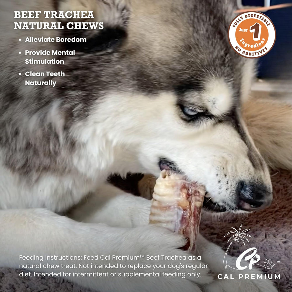 Cal Premium Trachée de Boeuf, croquant naturel pour occuper chiens de petite à moyenne taille.