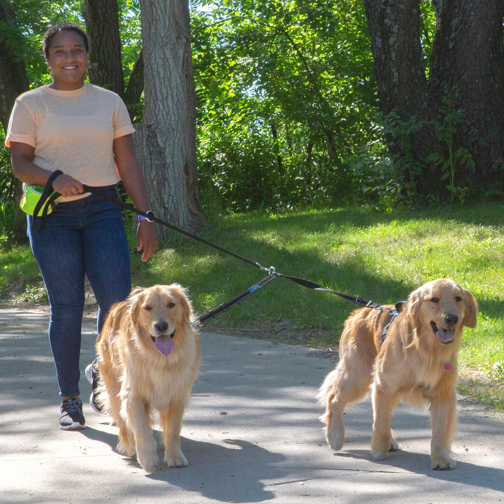 Caldwell's Rotation Anti-Enchevêtrement pour deux chiens en action.