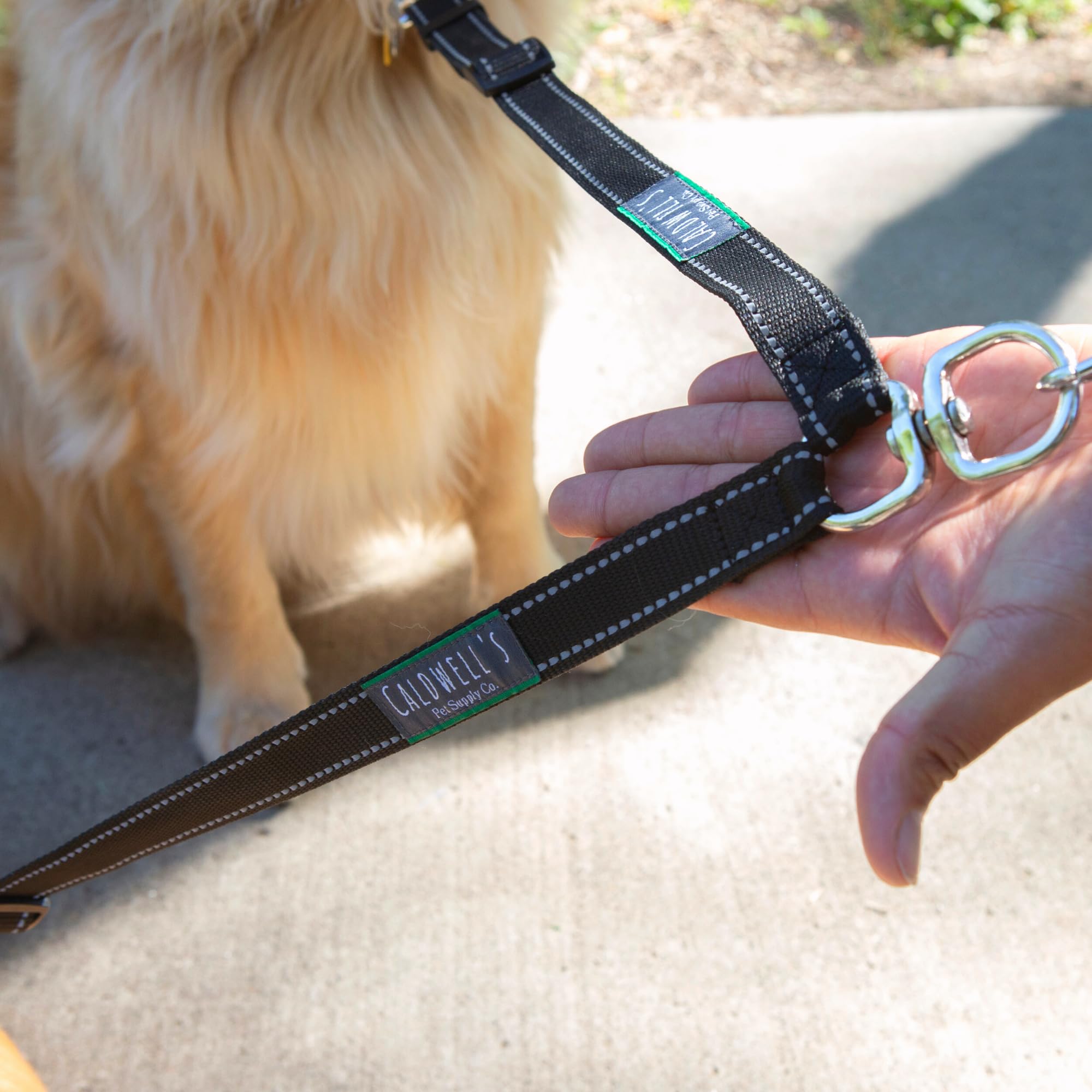 Utilisation quotidienne: promenades et randonnées avec deux chiens