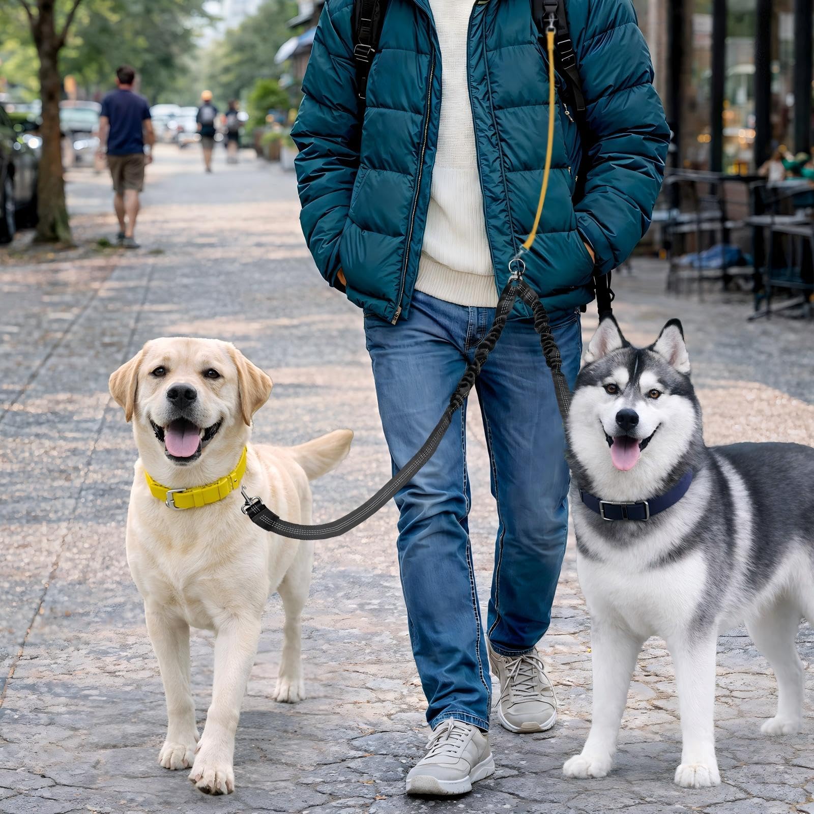 Caldzur facilite les balades à deux chiens avec une seule main.