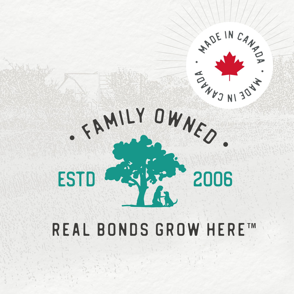 Caledon Farms Chewy Beef Sticks offrent protéines pour muscles forts.