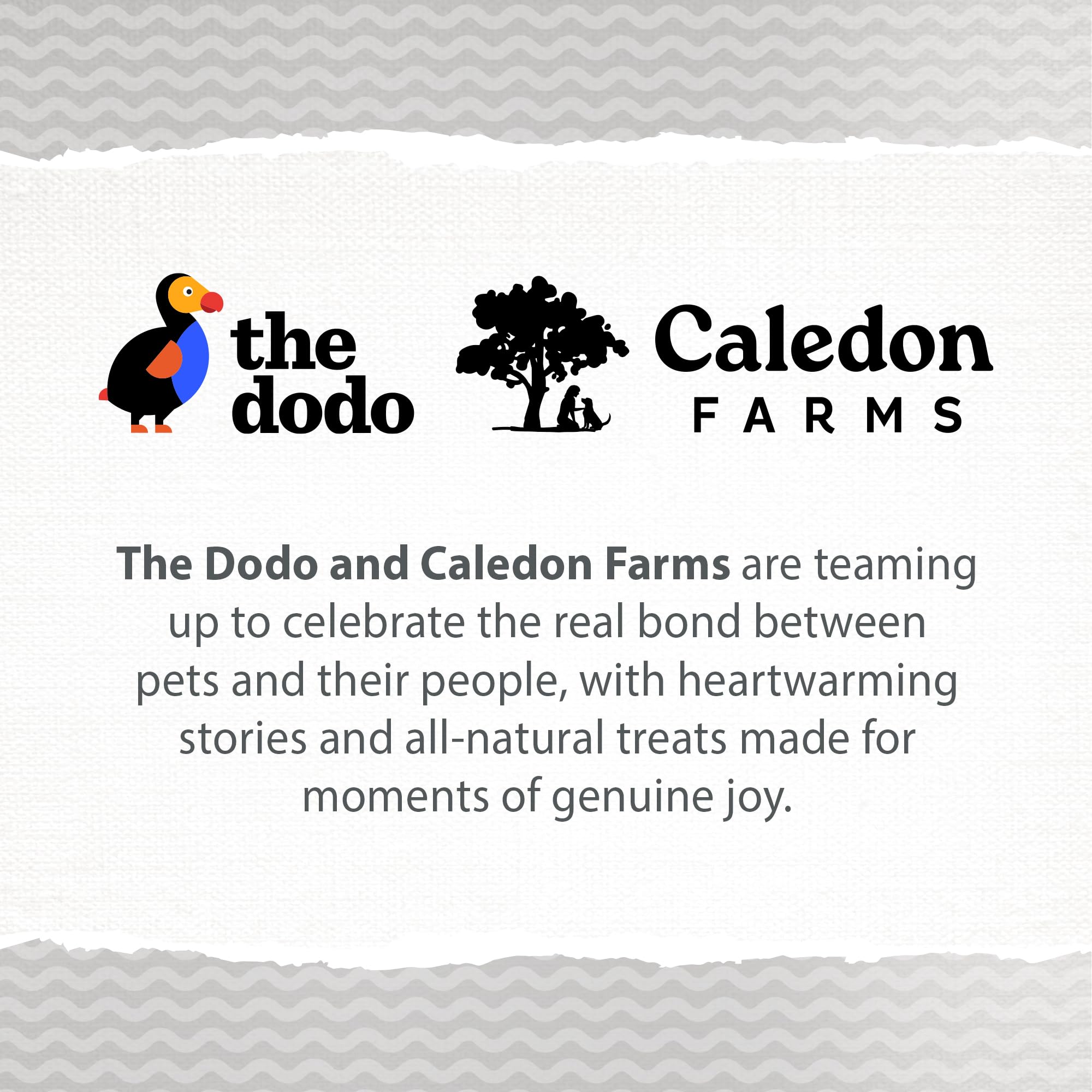 Entreprise familiale Caledon Farms dédiée au bien-être canin avec The Dodo.