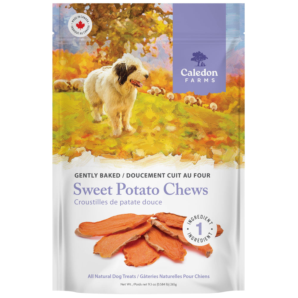 Caledon-Farms friandises-patate-douce-chiens, sans additifs artificiels, bon pour la mastication.