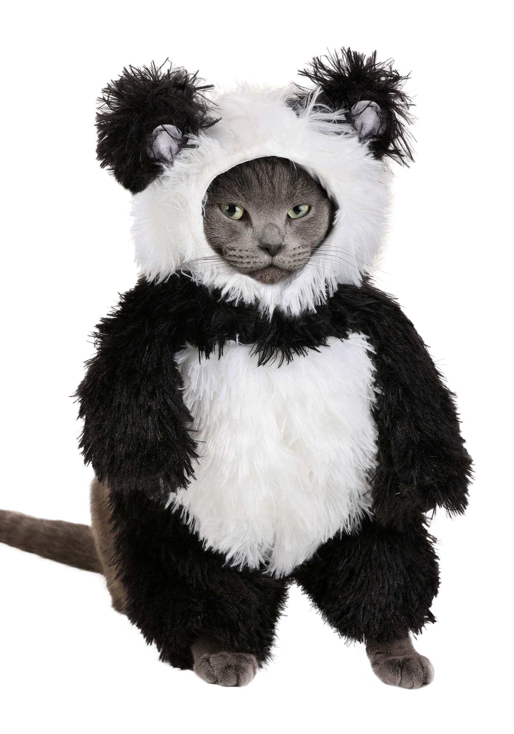 Panda Pooch: dos visibles et liens assurant un maintien pratique.