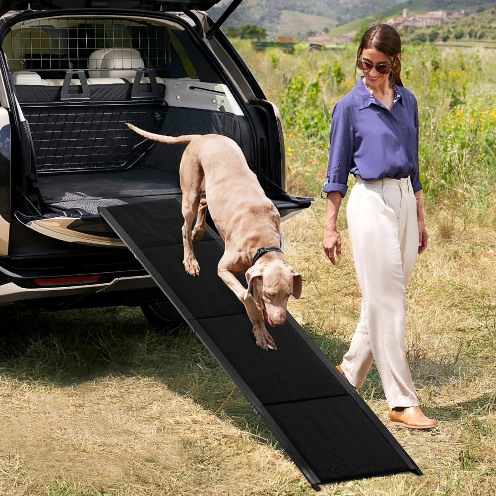 CALLARON cadre en aluminium léger, robuste et portable pour l'extérieur comme l'intérieur