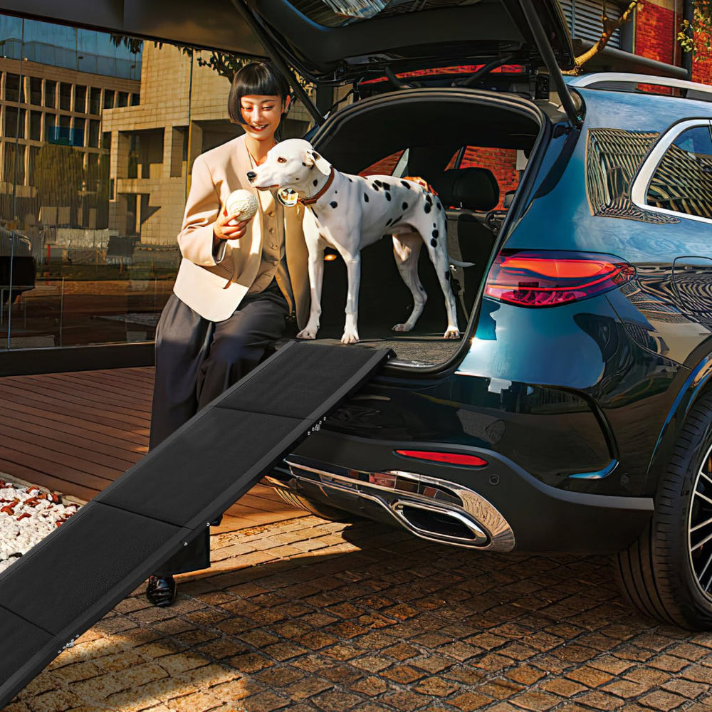 CALLARON rampe portable pour animaux, usage intérieur et extérieur