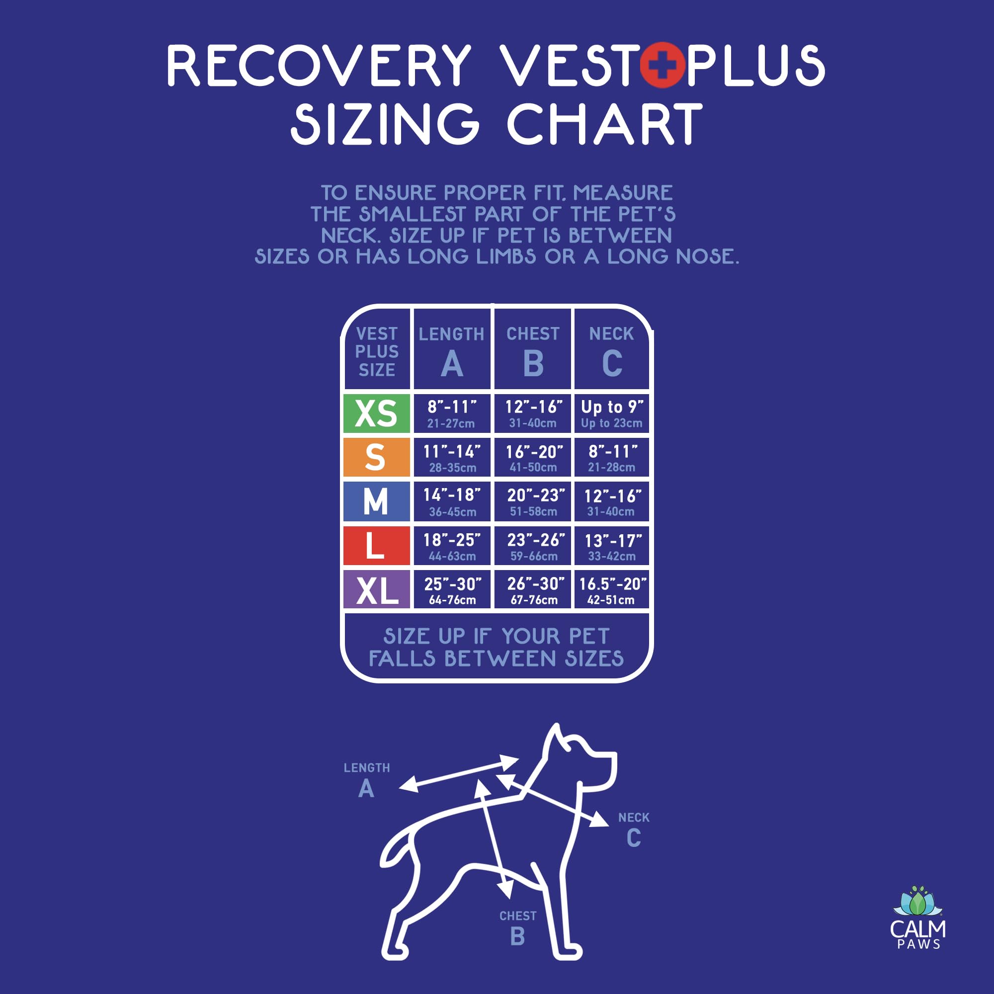 Calm Paws Utilisation quotidienne – confort et protection des zones sensibles