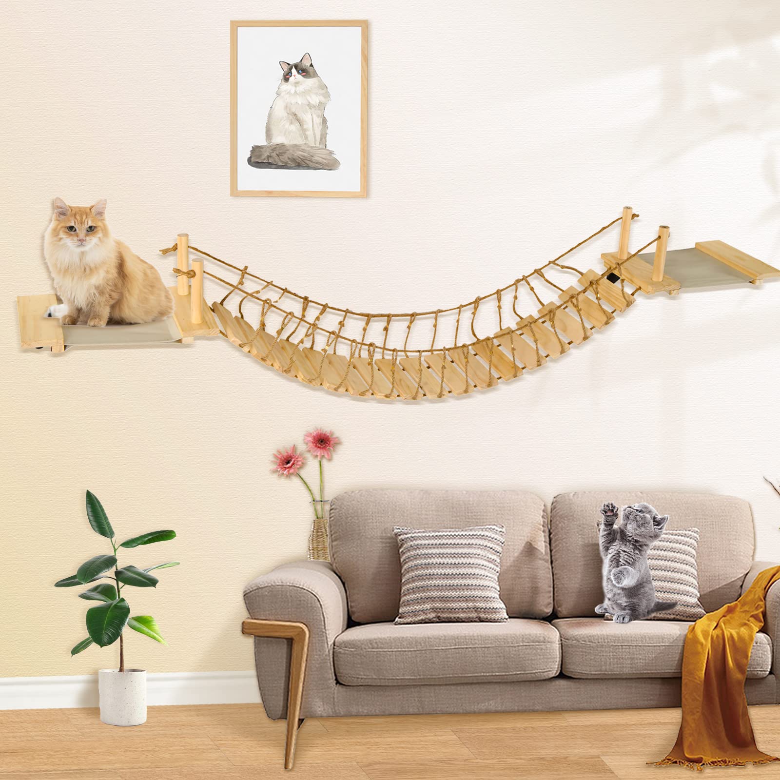 Calmbee utilisation-quotidienne-chat, parcours et repos.