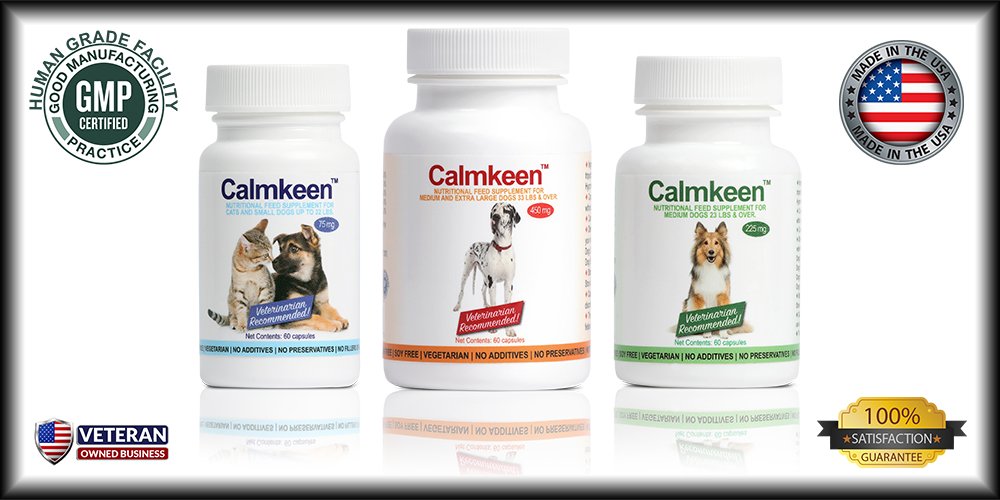 Calmkeen: chien moyen prêt à recevoir le supplément pour le quotidien.