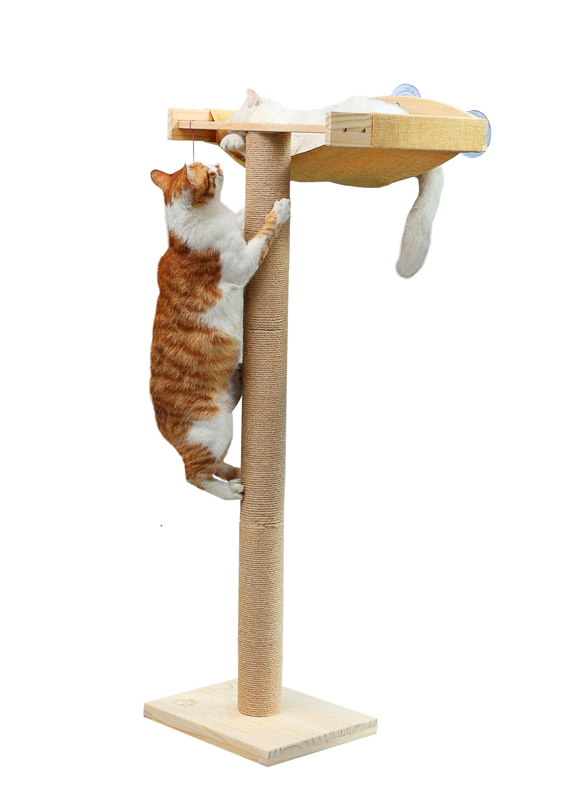 Caloreduce perchoir-fenetres 46 pouces offre une vue extérieure pour votre chat.