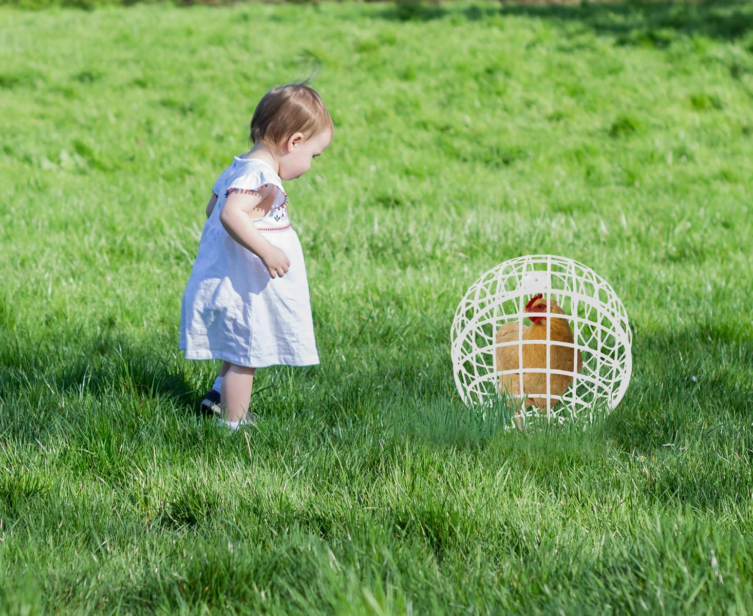Assemblage simple de la cage sphérique CalorMixs, gain de temps.