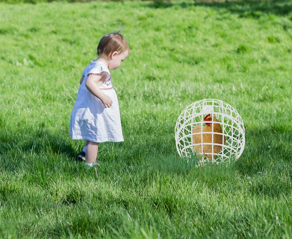 Assemblage simple de la cage sphérique CalorMixs, gain de temps.