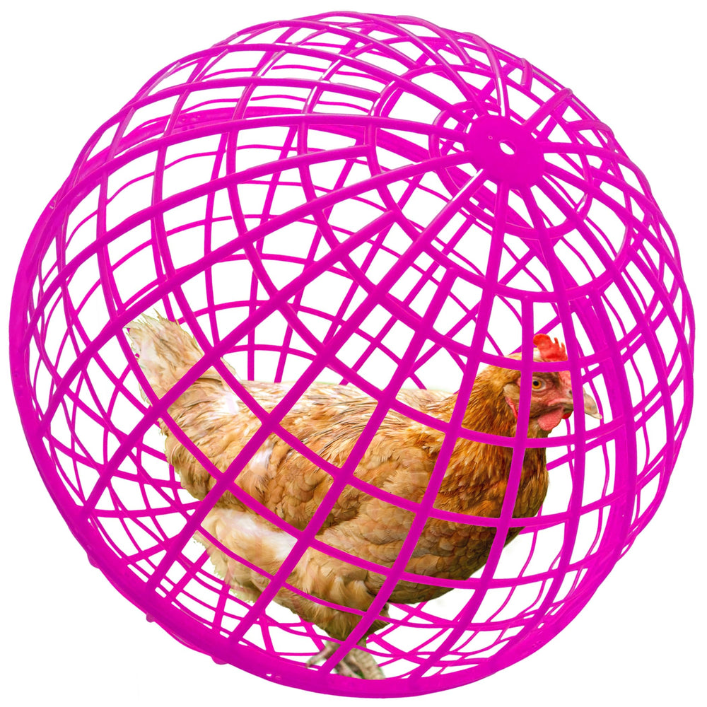 CalorMixs cage sphérique pour animaux 50 cm, protection et liberté lors des sorties
