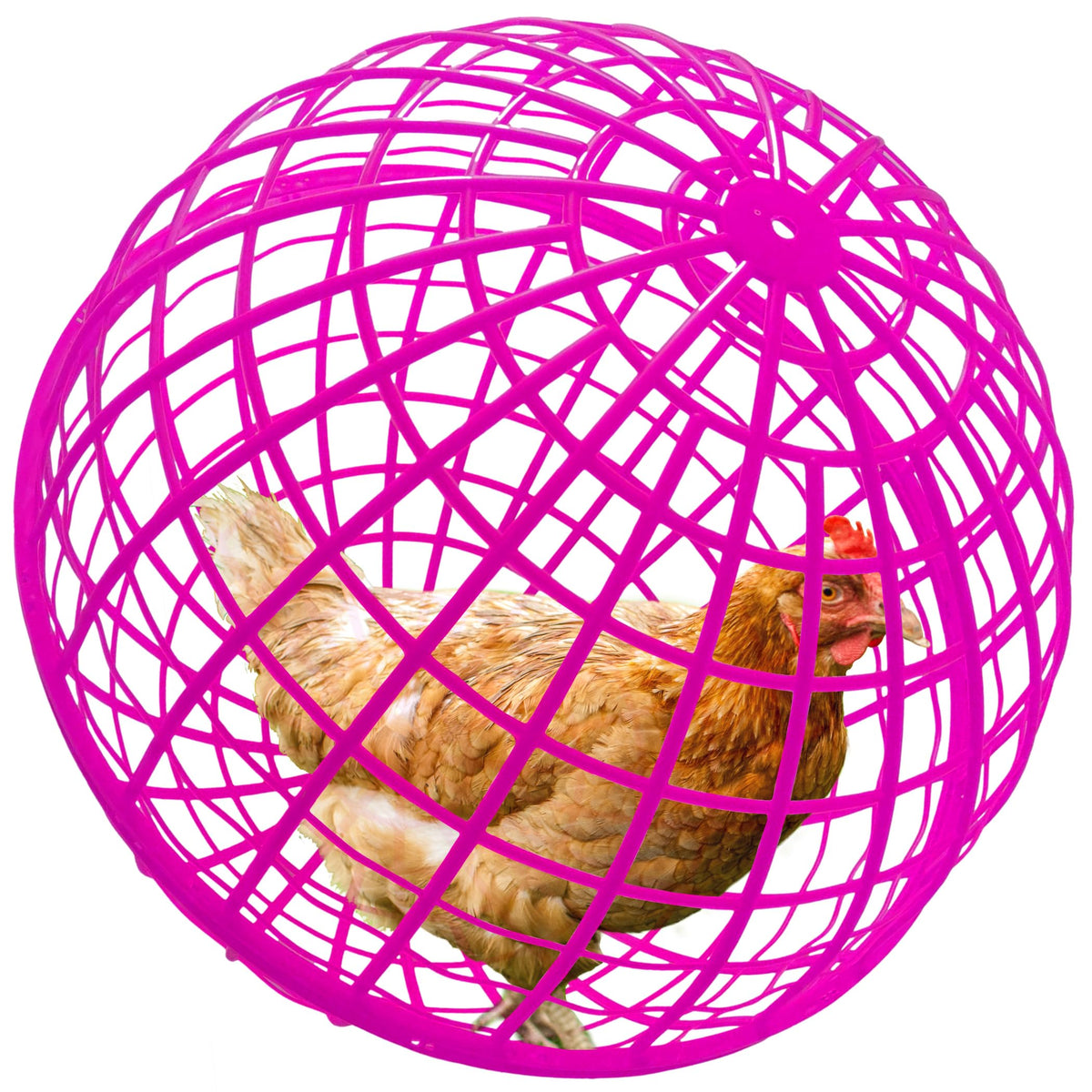 CalorMixs cage sphérique pour animaux 50 cm, protection et liberté lors des sorties