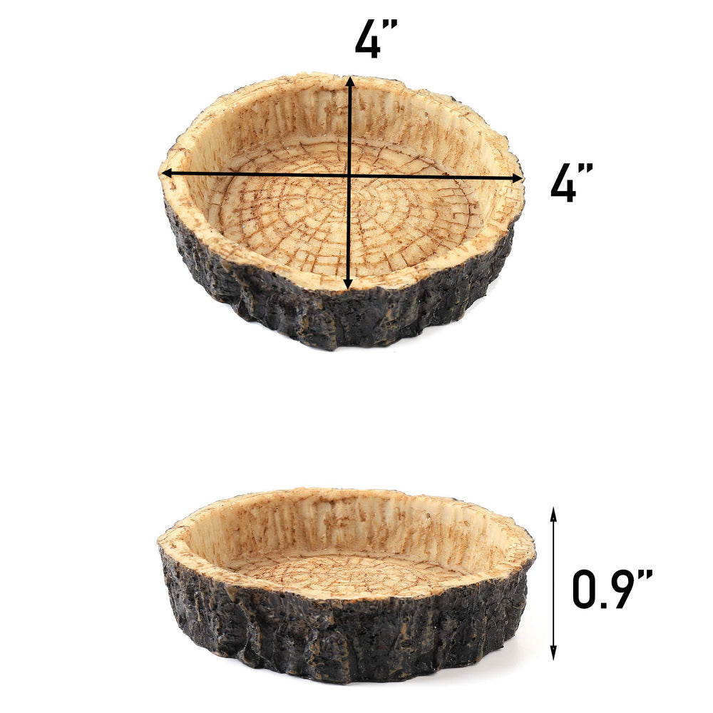 Design unique CalPalmy s’intégrant parfaitement au terrarium du reptile.