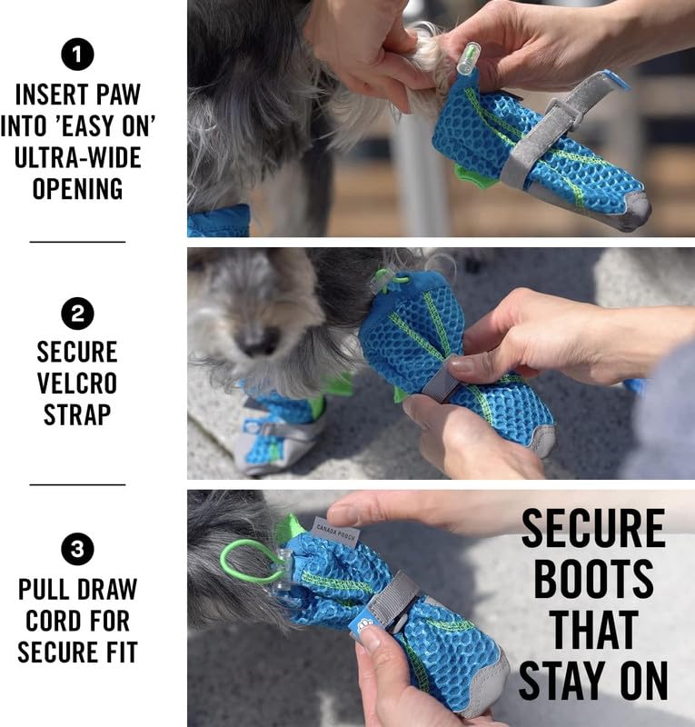 Design coloré et fonctionnel des bottes Canada Pooch pour chiens actifs.