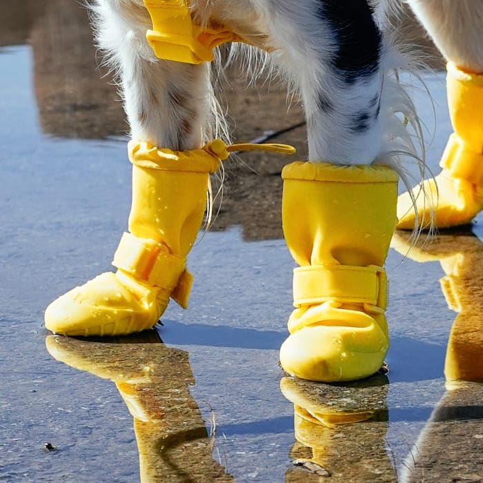 Canada Pooch bottes doublure polaire pour chaleur et confort.