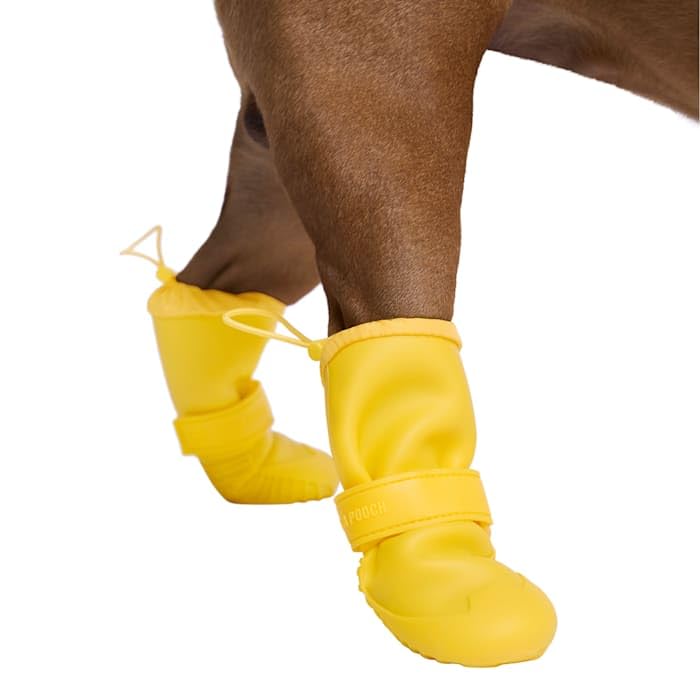 Canada Pooch bottes avec fermeture auto-agrippante faciles à mettre.