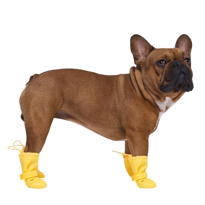 Canada Pooch bottes imperméables pour chien protégeant des flaques et de la boue.