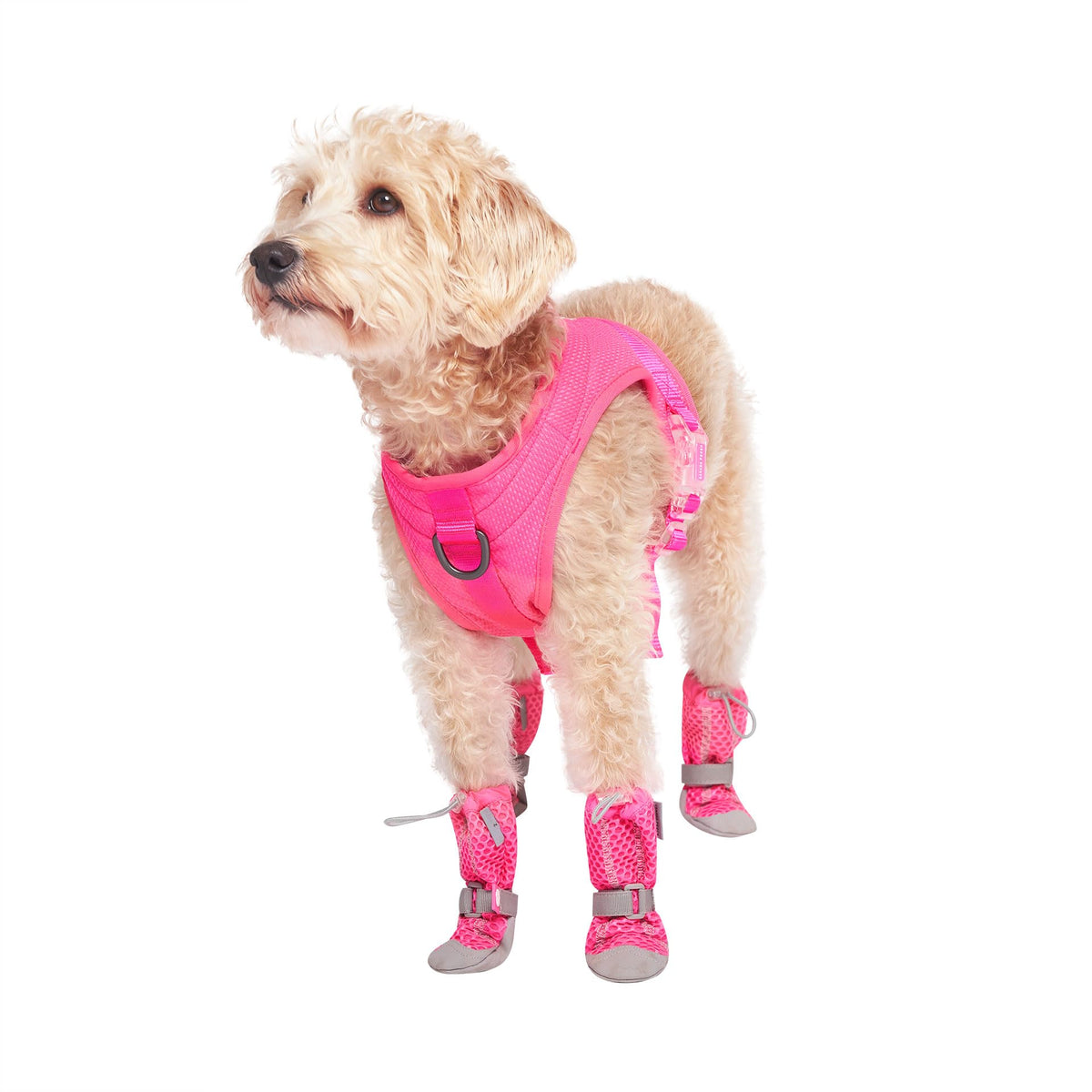 Canada Pooch bottes patte pavage chaud - protection contre chaleur et débris.