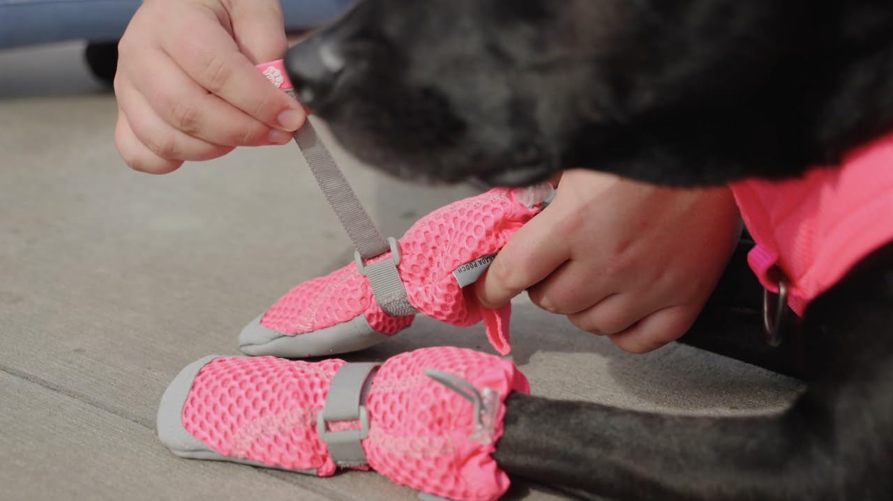 Utilisation extérieure polyvalente des bottes Canada Pooch pour chiens.